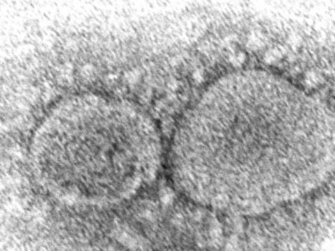 Des experts en faveur d'un rappel de vaccin spécifique à Omicron