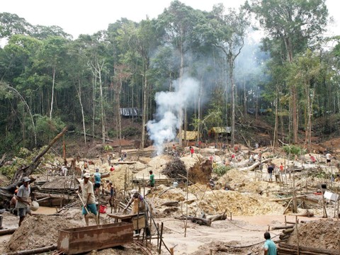 Déforestation record en Amazonie au premier semestre 2022