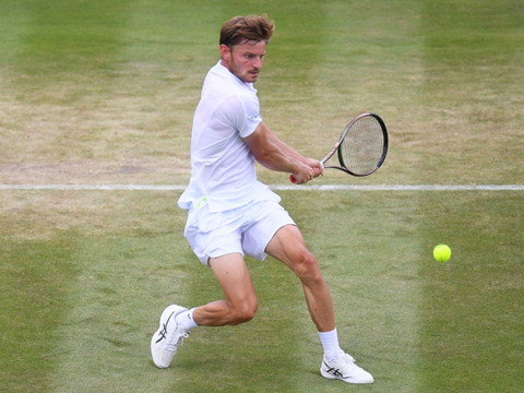 Un quart de finale Goffin-Norrie