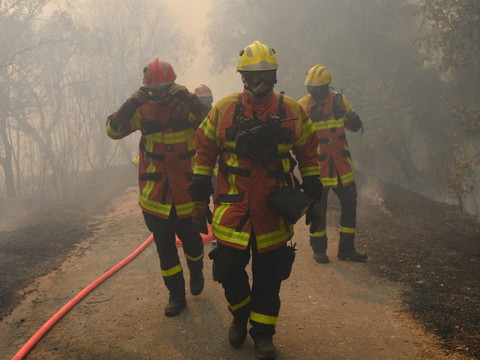 700 pompiers luttent contre un grand incendie dans le Gard
