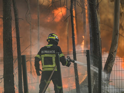Sous la canicule, le Portugal mobilise des milliers de pompiers