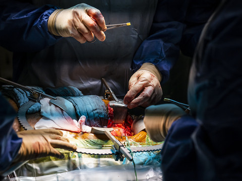 L'hôpital du Valais reporte des opérations par manque de personnel