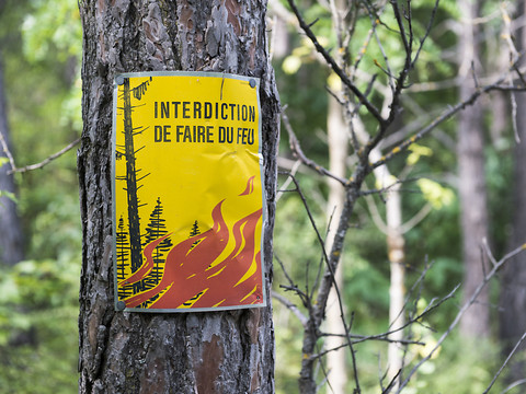 La Suisse prend ses précautions contre les feux de forêt
