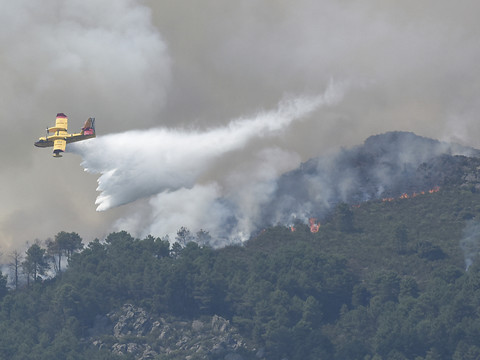 L'Europe occidentale brûle toujours sous les effets de la canicule