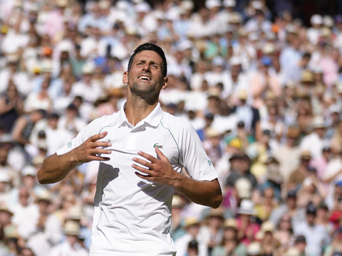 Novak Djokovic aussi de la partie