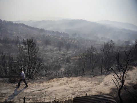 Touché par une vague de chaleur, le pays combat des feux de forêts