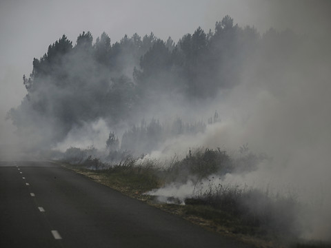 Les pompiers genevois ont prêté main-forte en Gironde (F)