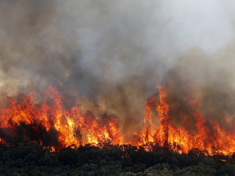 Un incendie dévaste 1000 hectares dans l'Hérault