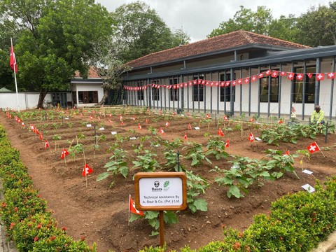 L'ambassade suisse au Sri Lanka transforme sa pelouse en jardin