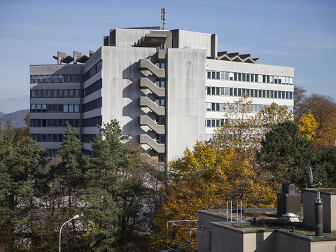Six cas de diphtérie au centre fédéral d'asile de Berne