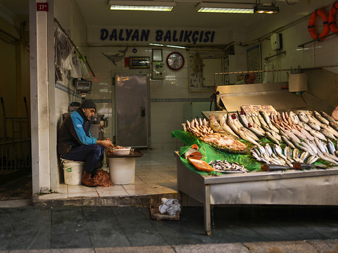 Turquie: l'inflation se stabilise et reste sous les 80% en juillet