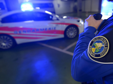 Incendie à la déchetterie de Crissier (VD)