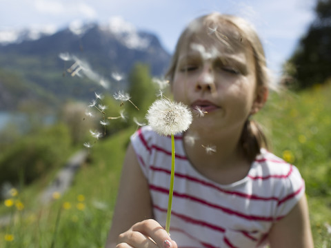 Pollens: une saison 2022 de tous les superlatifs