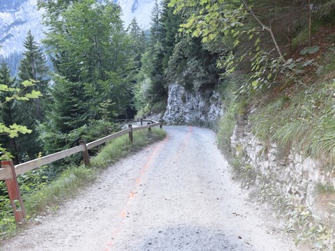 Une femme de 84 ans décède dans un accident de quad