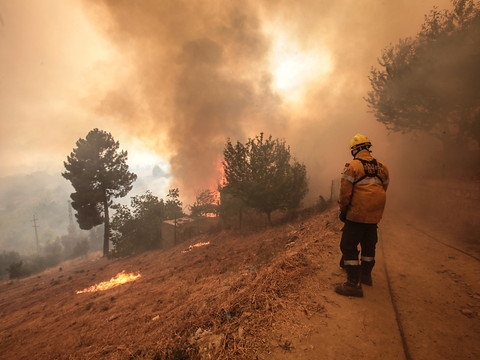 Portugal: 10'000 hectares partis en fumée dans une région protégée