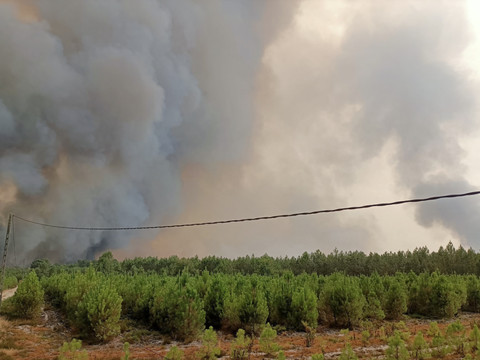 Été record en France pour les émissions de carbone liées aux incendies