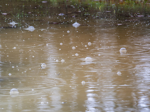 Pluies proches des records dans le centre et l'est de la Suisse