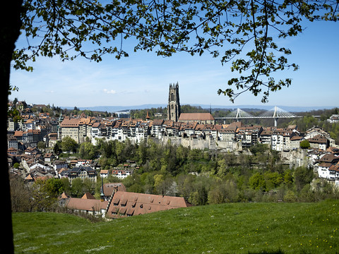 Fribourg: la loi sur les agglomérations est maintenue