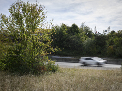 Autoroute: la Suisse romande pionnière en matière de biodiversité