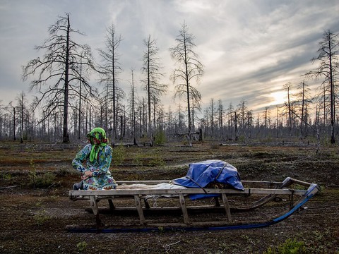 Il n'a jamais fait aussi chaud en Arctique depuis 7500 ans