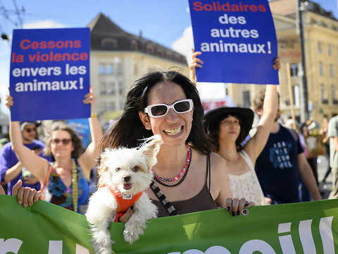 Entre 250 et 300 antispécistes manifestent à Lausanne