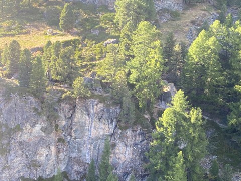 Un jeune Allemand se tue dans un accident de VTT à Zermatt