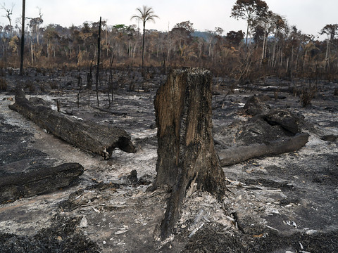 26% de l'Amazonie irréversiblement détruite (chefs indigènes)