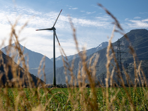 L'énergie renouvelable doit être promue, même aux dépens de l'environnement