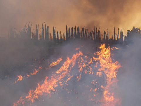 Un important incendie en Californie atténué par les pluies