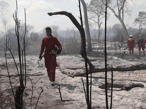 Les feux dans les zones forestières ont triplé en Bolivie