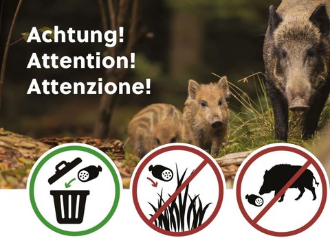 Aires de repos, lieux potentiels d'introduction de la peste porcine