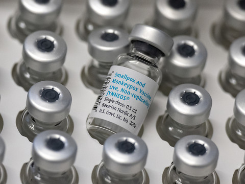 La variole du singe grimpe à plus de 500 cas