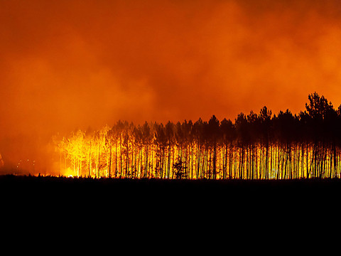 Près de 50 incendiaires présumés interpellés cet été en France
