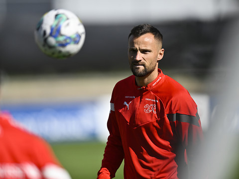 Haris Seferovic sur le banc