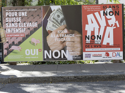 Le peuple se prononce sur l'AVS, l'élevage et l'impôt anticipé
