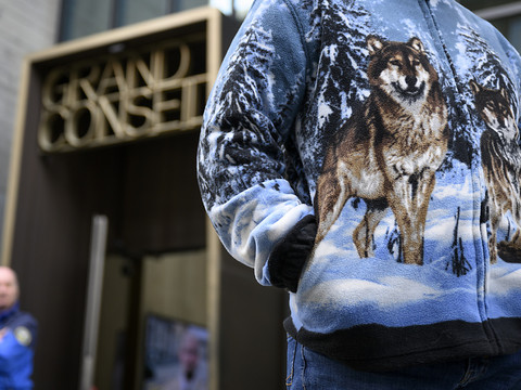 Le Valais ne pourra pas réguler la meute du Val d’Hérens