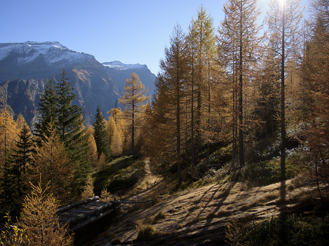 Solides perspectives pour le tourisme automnal