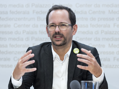 Les Verts songent à une candidature pour le Conseil fédéral