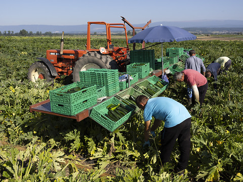Revenu agricole en hausse en 2021, perspectives plus sombres