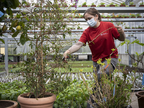 Moins de places d'apprentissage attendues l'an prochain