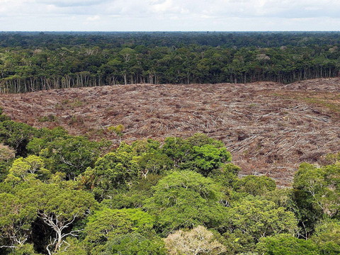 Déforestation record en Amazonie pour un mois de septembre
