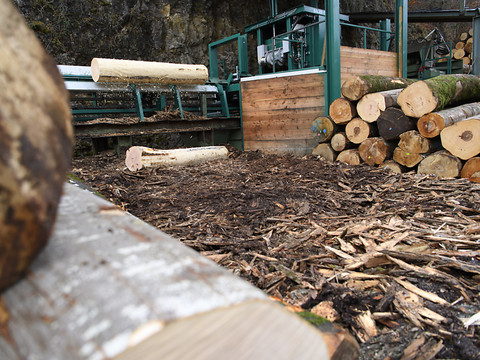 Arnaque au bois de chauffage: 40 escroqueries en Suisse romande