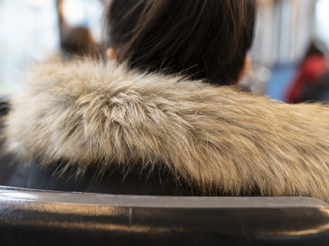 La déclaration des fourrures présente encore des lacunes