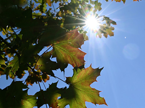 Un climat d'arrière-été en Suisse ce lundi encore