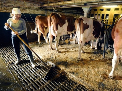 Agriculture: les femmes ont davantage d'influence économique