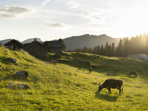 L'agriculture suisse doit faire plus d'efforts, plus vite (rapport)