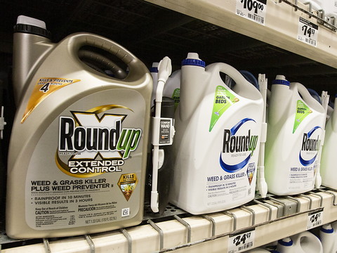 Bayer: bénéfice net sextuplé au 3e trimestre