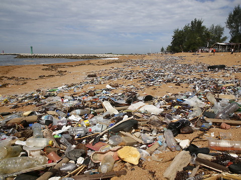 Coca et Nestlé parmi les plus gros pollueurs de plastique au monde