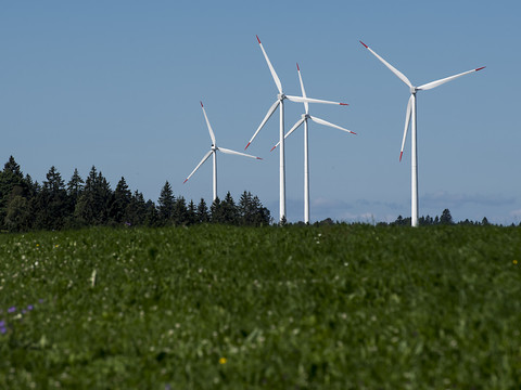 Parc éolien du Mollendruz (VD): recours rejetés