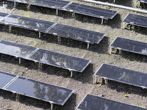 50% de nouvelles installations photovoltaïques de plus en un an